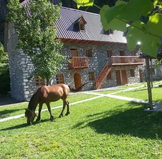 Hotel Bujtina Berishta Theth Zewnętrze zdjęcie